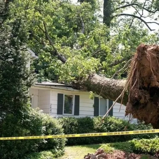 Storm & Wind Damage Repair Services in Denton, TX